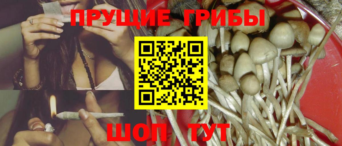 Псилоцибиновые грибы мицелий  Вход с VPN  Михайловка 